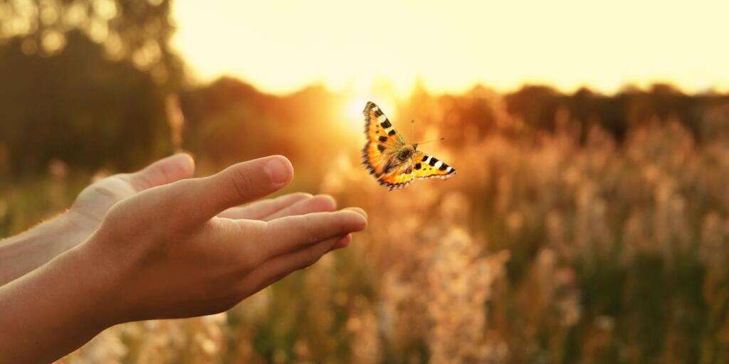 Flying,Butterfly,And,Man,Hands,On,Abstract,Sunny,Natural,Background.